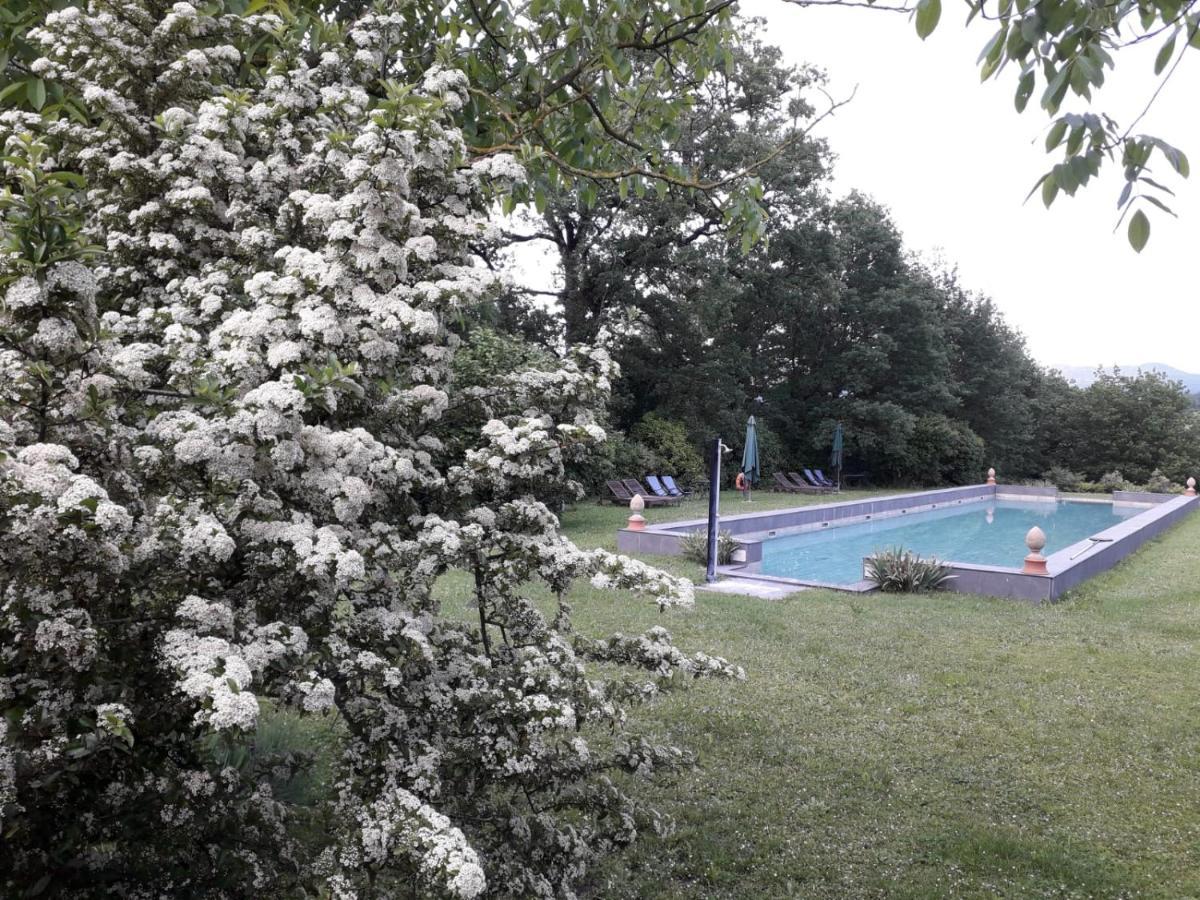 Poggio A Sieve Apartment Villore ภายนอก รูปภาพ