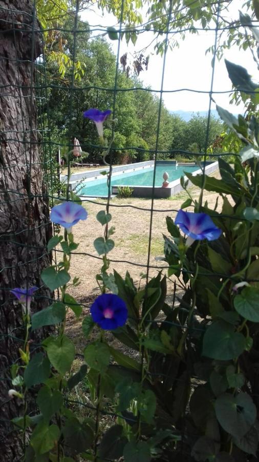 Poggio A Sieve Apartment Villore ภายนอก รูปภาพ